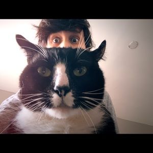 Meet your Posher, Kaina